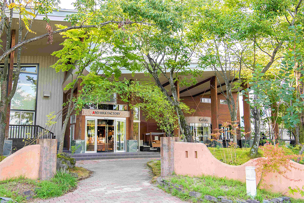 ASO MILK FACTORY1