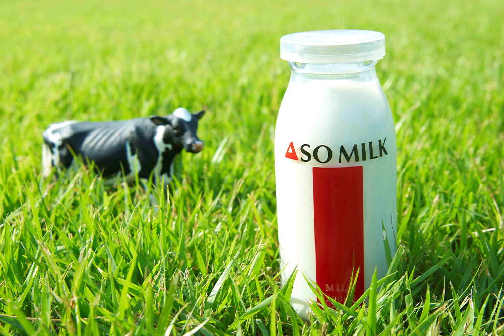 ASO MILK FACTORY5